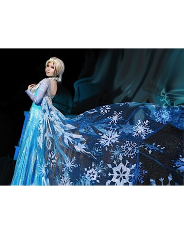 Frozen Vestiti Carnevale Elsa Donna Adulto 8899020 - 20B